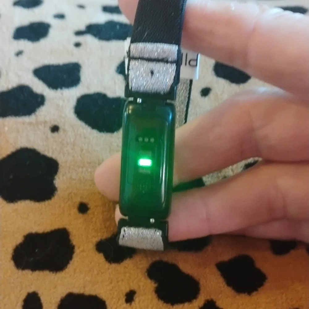 fitbit inspire fair